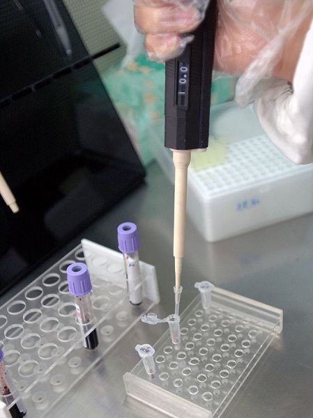 湖州揭秘：DNA亲子鉴定全过程 