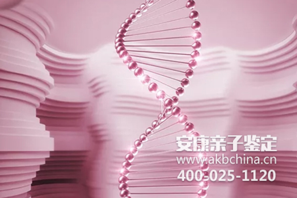 湖州珠海DNA亲子鉴定，哪里能给胎儿做亲子鉴定 